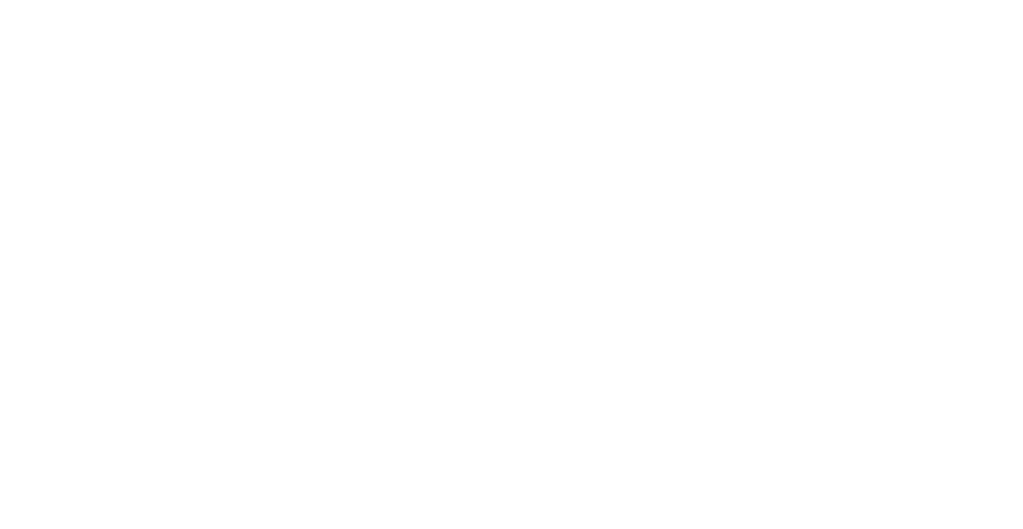 Texican Beer Logo